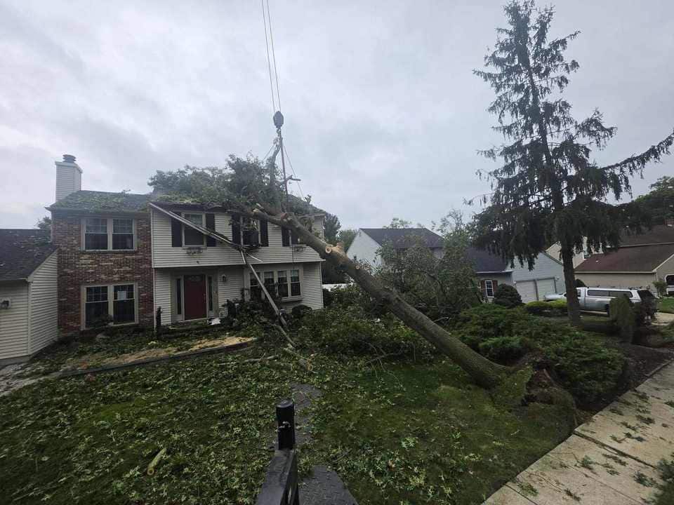 Storm-damaged tree section lifted clear of a residential roof